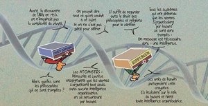 Les Indices pensables: 11- Les atomes sont ils capables de s'organiser seuls pour crééer des tulipes ?